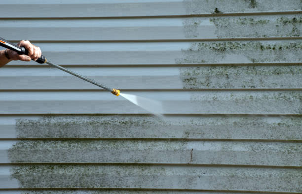 Best Pressure Washing Patio  in Utica, MI