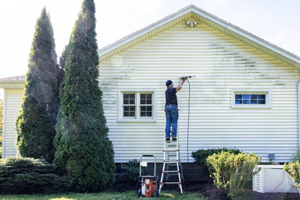 Best Affordable Power Washing  in Utica, MI