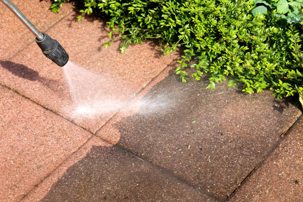 Best Local Pressure Washing Services  in Utica, MI